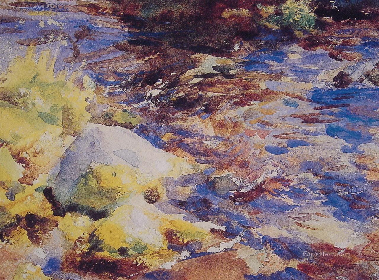 Reflexiones RocasPaisaje acuático John Singer Sargent Pintura al óleo